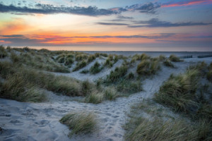 Foto Teppich - In Den Dünen oder mit Eigenem Foto