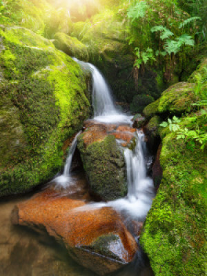 Wunschmotiv auf Teppich - Bezaubernder Kleiner Wasserfall oder mit ...