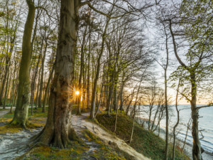 Wunschmotiv auf Teppich - Küstenwanderweg oder mit Eigenem Foto