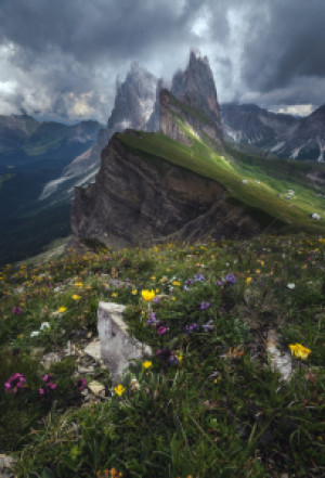 Wunschbild als Teppich - Dolomiten Seceda Im Sommer Bei Regen oder ...