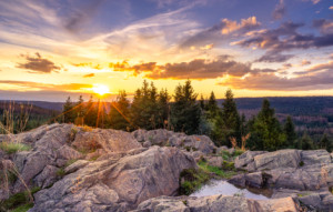 Fotos Teppich - Ruhe Im Harz oder mit Eigenem Foto