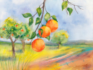 Fotos Teppich - Orangenbäume Im Sommer oder mit Eigenem Foto