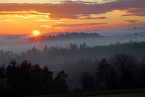 Wunschbild als Teppich - Mystischer Schwarzwald oder mit Eigenem Foto