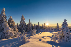 Motiv als Teppich - Winter Im Schwarzwald oder mit Eigenem Foto