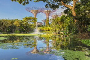 Foto auf Teppich - Supertrees In Den Gardens By The Bay oder mit Ei...