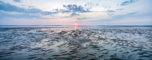Bild Teppich - Am Wattenmeer Bei Sonnenuntergang oder mit Eigenem Foto