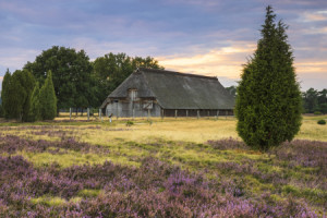 Foto Teppich - Schafstall In Der Morgendämmerung oder mit Eigenem F...