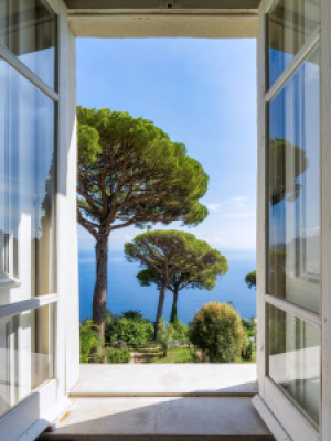 Wunschbild Teppich - Blick In Den Garten oder mit Eigenem Foto