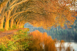 Motiv auf Teppich - Herbst Am Baldeneysee In Essen oder mit Eigenem...