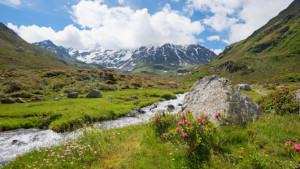 Motiv auf Teppich - Alpenlandschaft Dürrboden Im Dischmatal oder mi...
