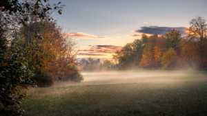 Bilder Teppich - Nebelspiele Im Herbst oder mit Eigenem Foto