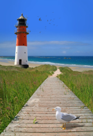 Motiv als Tischdecke - Der Weg Zum Strand oder mit Eigenem Foto