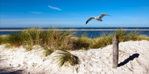 Motiv Tischdecke - Langeoog oder mit Eigenem Foto