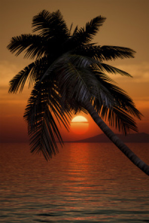 Wunschbild Tischdecke - Palme Im Sonnenuntergang oder mit Eigenem Foto