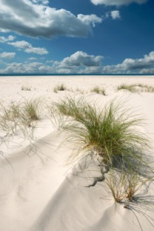 Bilder Tischdecke - Nordsee - Insel Amrum oder mit Eigenem Foto