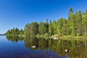 Motiv Tischdecke - See Lentua Finnland oder mit Eigenem Foto