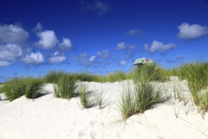 Tischdecke - Schöne Ferien Auf Amrum oder mit Eigenem Foto