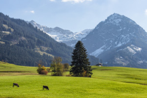 Wunschmotiv als Tischdecke - Fischen Im Allgäu oder mit Eigenem Foto