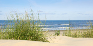 Bilder Tischdecke - Auf Langeoog oder mit Eigenem Foto