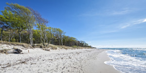 Wunschmotiv als Tischdecke - Immer Der Sonne Nach Ostsee oder mit E...