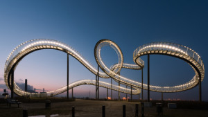 Wunschmotiv Tischdecke - Tiger And Turtle oder mit Eigenem Foto