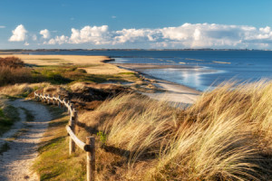 Motiv als Tischdecke - Natur Pur Auf Sylt oder mit Eigenem Foto