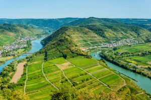 Bilder Tischdecke - Moselschleife Bei Bremm 33 oder mit Eigenem Foto