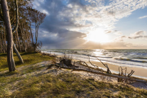 Wunschbild als Tischdecke - Darßer Weststrand An Der Ostseeküste od...