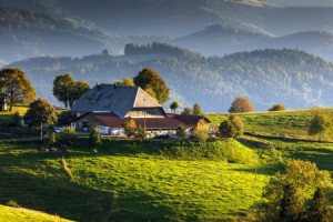 Wunschbild auf Tischdecke - Alter Schwarzwälder Bauernhof oder mit ...