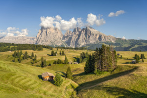 Wunschbild als Tischdecke - Sommer Auf Der Seiser Alm In Südtirol o...