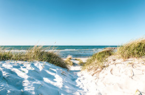 Bild auf Tischdecke - Karibisches Flair An Der Ostsee oder mit Eige...