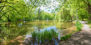 Wunschmotiv auf Tischdecke - Kurpark Bad Aibling oder mit Eigenem Foto