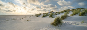 Wunschbild Tischdecke - Sonnenuntergang Am Dünenstrand oder mit Eig...