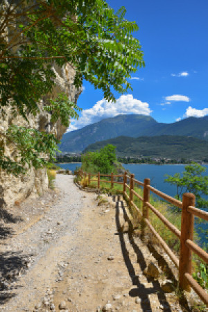 Motiv Tischdecke - Mountain Biker Weg Am Gardasee oder mit Eigenem ...
