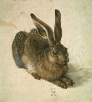 Wunschbild auf Tischdecke - Young Hare Duerer 1502 oder mit Eigenem...