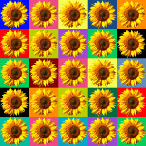 Motiv Tragetasche - Sonnenblume Collage oder mit Eigenem Foto