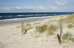 Motiv als Tragetasche - Dünenlandschaft Sonne Und Meer oder mit Eig...