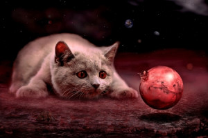 Tragetasche - Die Maus Auf Dem Mars oder mit Eigenem Foto