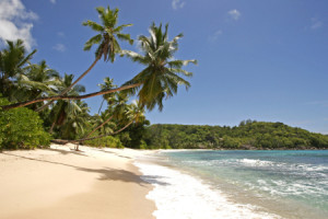Wunschbild auf Tragetasche - Traumstrand Anse Takamaka Im Sueden De...