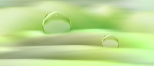 Wunschmotiv auf Tragetasche - Two Drops oder mit Eigenem Foto