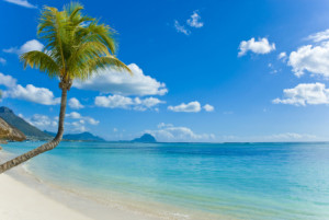 Bild Tragetasche - Mauritius Strand oder mit Eigenem Foto