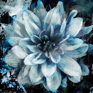 Motiv Tragetasche - Blue Bloom oder mit Eigenem Foto