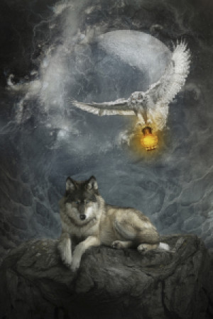 Wunschmotiv Tragetasche - When Come The Night oder mit Eigenem Foto