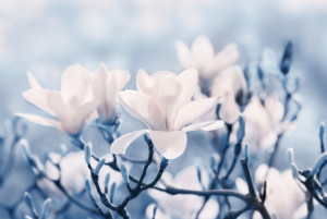 Wunschmotiv auf Tragetasche - Blau oder mit Eigenem Foto