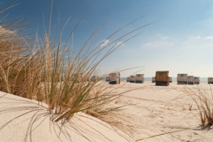 Motiv als Tragetasche - Durchblick Zum Meer oder mit Eigenem Foto