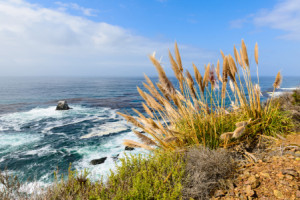 Motiv als Tragetasche - Big Sur oder mit Eigenem Foto