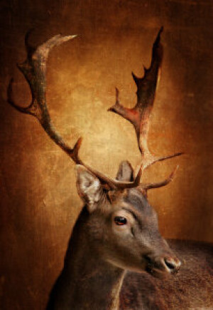 Motiv Tragetasche - Der Hirsch Mit Dem Goldenen Geweih oder mit Eig...
