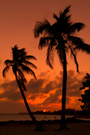 Bilder Tragetasche - Sunset Key West oder mit Eigenem Foto