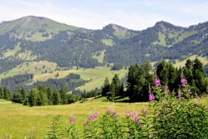 Motiv als Tragetasche - Nagelfluhkette oder mit Eigenem Foto