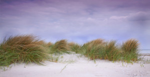 Fotos Tragetasche - Düne oder mit Eigenem Foto